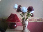  Розы