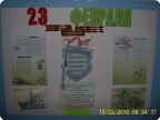 23 февраля (стенгазета)