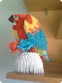  parrot