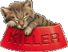 kitten-killer