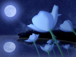 moon flower