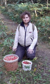 Елена такое имя Елена такое имя