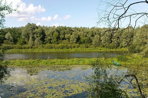 Солнце, воздух и вода-наши лучшие друзья. (фото 1)