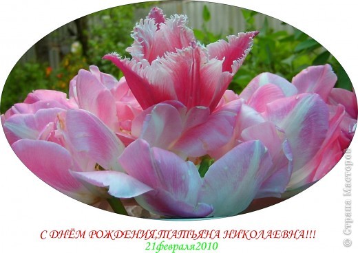 ЭТИ ЦВЕТЫ ДЛЯ ТАТЬЯНЫ НИКОЛАЕВНЫ ПРОСНЯКОВОЙ ПО СЛУЧАЮ ДНЯ РОЖДЕНИЯ!ЗДОРОВЬЯ ВАМ И БЛАГОПОЛУЧИЯ ВО ВСЕХ ДЕЛАХ И НАЧИНАНИЯХ, УВАЖАЕМАЯ ТАТЬЯНА НИКОЛАЕВНА!