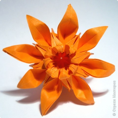 готовый модуль-цветок для кусудамы "Marguerite", автор схемы - Mio Tsugawa (фото 1)