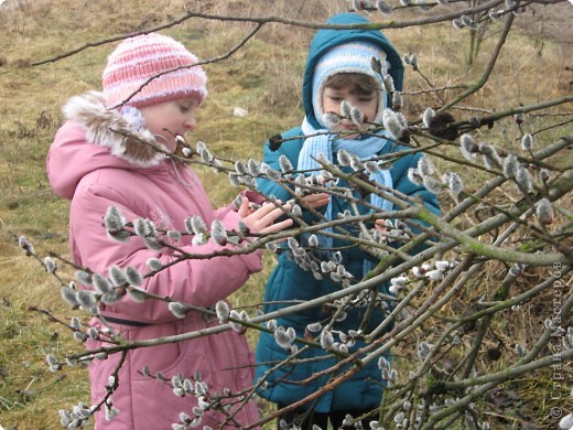 Весенняя экскурсия в природу (фото 1)