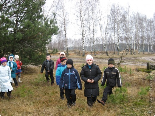 Весенняя экскурсия в природу (фото 6)