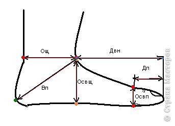 Необходимо произвести замер ноги. Так как я не профессионал прошу не судить строго, названия измерений для удобности заменила заглавными буквами. И так приступим:
 Дп – длина большого пальца (измерить от большой косточки, до конца пальца)
Двн – длина верхней части носка (измерить от щиколотки, до конца пальцев)
Освп – обхват стопы вокруг пальцев (измерить от большой косточки, вокруг стопы)
Вп – высота подъема (измерить по выступающей части пятки, вокруг ноги, через впадину щиколотки)
Освщ – обхват стопы возле щиколотки (измерить вокруг самой наибольшей части стопы)
Ощ – обхват щиколотки (измерить вокруг щиколотки)
Вм – высота манжеты. (Берем произвольную как сердце подскажет. Хотите маленький манжет сделайте 4 см, если хотите высокий сделайте10 – 20 см, и не забываем умножить на 2,так как манжет будет сложен пополам при втачивании в носок) (фото 2)