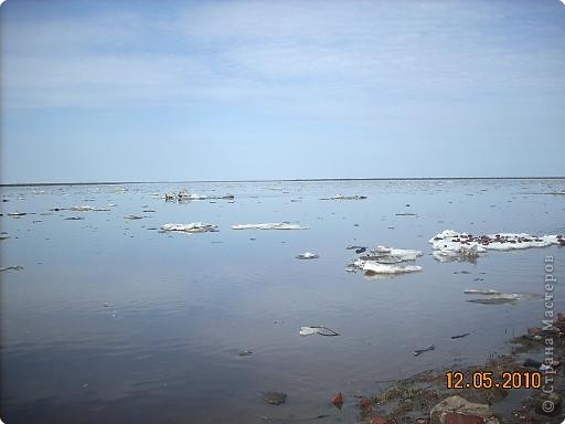 На нашем Севере аномально теплая погода уже третий день. (фото 1)