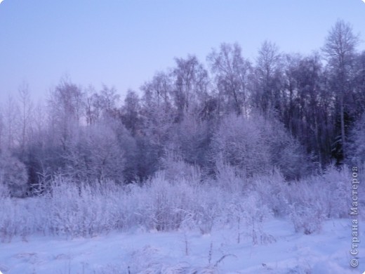 Все времена года. (фото 4)