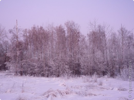 Все времена года. (фото 5)