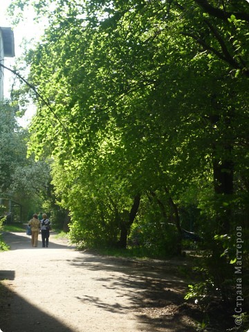 Все времена года. (фото 14)