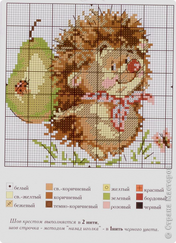 Вышивка крестом: Ёжик (фото 2)