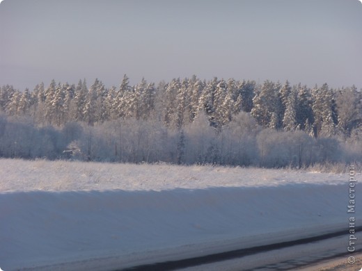 Снег , да снег кругом... (фото 1)