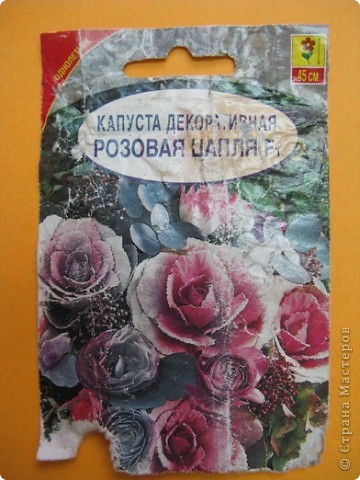 Вот он злополучный, совсем потрепаный пакетик. Зато теперь мы знаем, что незнакомка называется "Розовая цапля F1" Агрофирма Аэлита. В аннотации вопрос Где Вы встретите капусту в форме цветка розы? Вот уж не знаю, а растение полностью соответствует и картинке (даже краше) на пакете и восторженной аннотации. (фото 4)