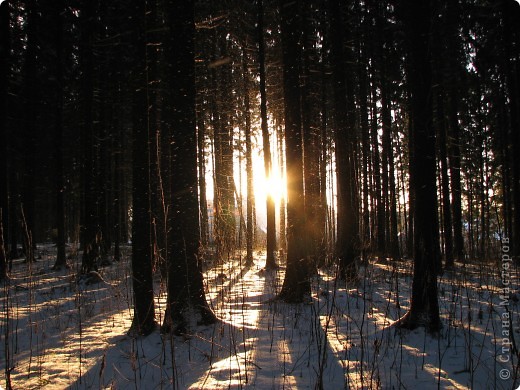 Зима (фото 1)