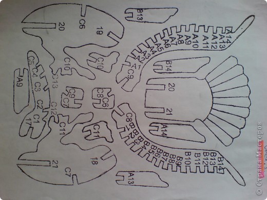 Чертеж орла №1 (фото 4)