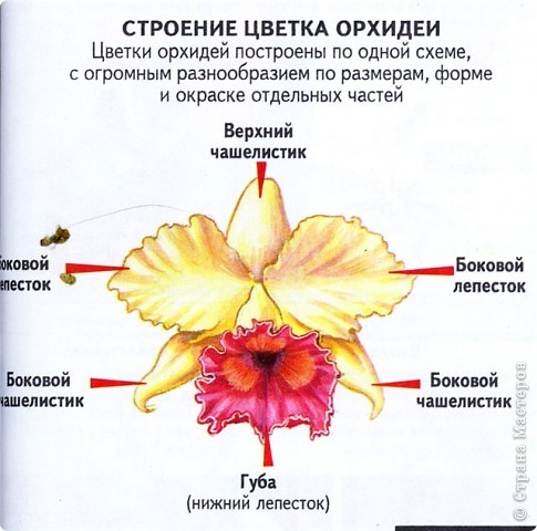 На всякий пожарный. (фото 9)