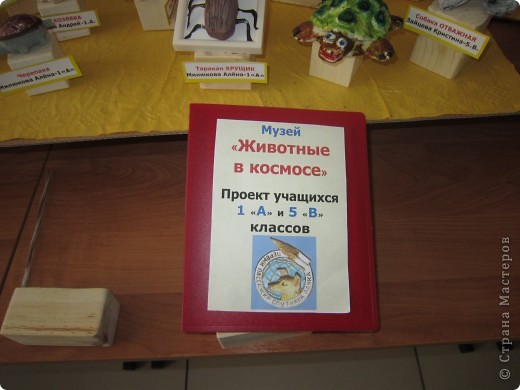 Обложка книги. В ней собран отчёт о проделанной работе - рассказы обо всех животных, побывавших в космосе (фото 5)