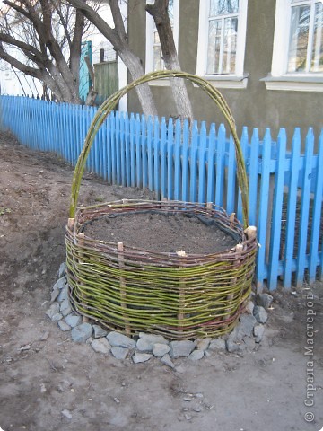 Мне давно хотелось посадить цветы в корзину, нашла старую на чердаке, но она оказалась маловата, и я решила сплести сама. У нас рядом речка, луг, я нарезала прутьев и вот получилась такая красавица-корзина. Пока плела, все кто проходил и проезжал мимо останавливались, спрашивали что плету. Особенно было приятно, что мужчины тоже очень интересовались что это будет и что буду туда садить. Даже советовали покрасить камешки в разные цвета.      (фото 1)