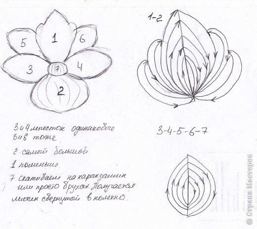 Что-то вроде схемы. Лепестки сделаны в технике низания дугами. Стрелочками показано направление проволоки. Количество бисеринок в ряду посчитать не смогу, так как работы у меня нет. Вместе сердцевинки можно вставить бусину. Сам ствол обмотан нитками мулине, но можно и флористической лентой. "Посажена" орхидейка в гипс:) (фото 3)