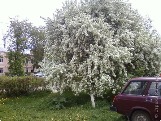 Немного другой ракурс. (фото 2)