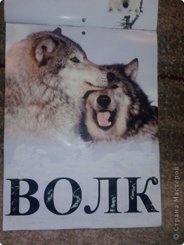 А это старый календарь за 2010 г.  немного преобразованный для фронтального чтения - распечатала название животного, заклеила месяц и добавила немного красок в тон картинки (это для красоты восприятия). (фото 5)