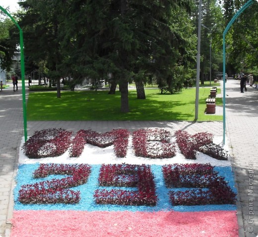 Юбилейная выставка "Флора" в городе Омске. Часть 2-я. (фото 41)