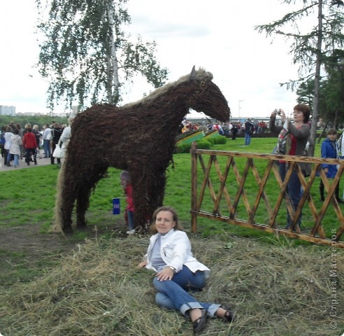 Можно сфотографироваться и полежать на сене у лошадки. (фото 11)