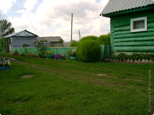 Цветы во дворе! (фото 10)