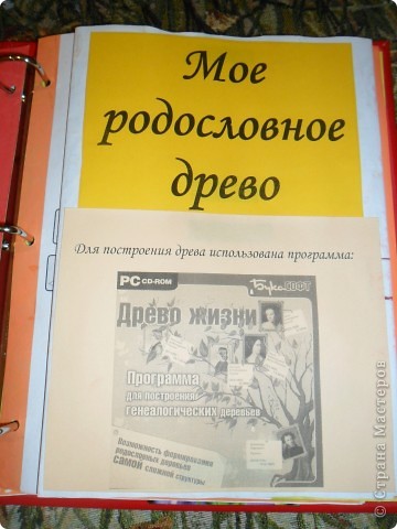 6. На третью страницу я приклеила родословное древо сына. Очень краткое. На странице видно с помощью какой программы я это делала. Можно в принципе любой сделать, либо вобще в Ворде или Экселе нарисовать.  (фото 6)