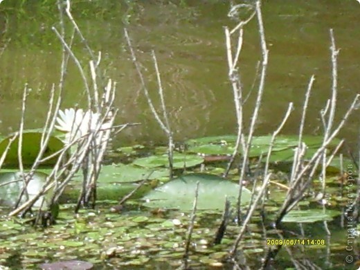 …………речка Караганка обладает своей силой……..вода в Караганке  насыщена серебром…….. 
…….Аркаим находиться на стыке гексональных земных плит……..здесь места глубинных разломов…….река Караганка протекает по одному из таких разломов…..несмотря на ее кажущуюся мелководность……глубина ее достигает( по различным данным)  от 25 до 35 метров……….
 (фото 50)