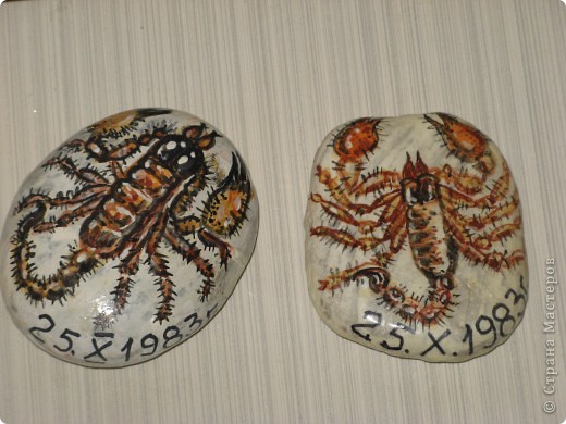 scorpions (фото 43)