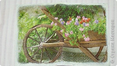 обложечка в подарок. (фото 1)