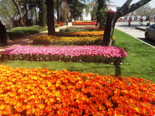 Уважаемые жители страны,была в Станбуле,поражена красотой города,его многочисленностью и размером (фото 4)