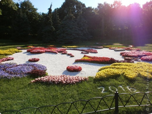 Жасмин, веночек и мини-репортаж о ЕВРО-2012 в Киеве (много фото) (фото 14)