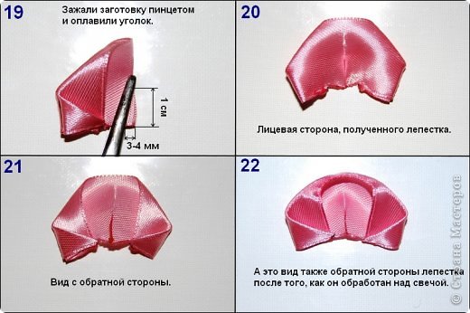 МК Роза "трехцветка" (фото 11)