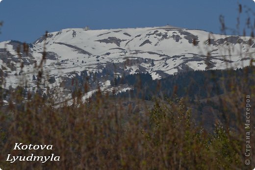 Домик для ласточек из фетра.  (фото 42)