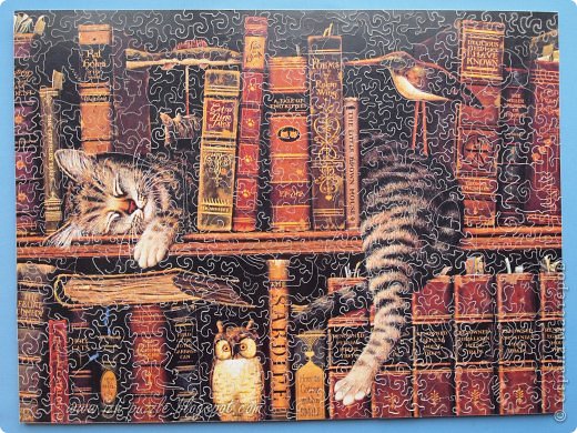 Мой очередной пазл Frederick the Literate, художник Charles Wysocki.  (фото 1)