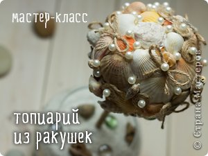 Делаем топиарий из ракушек