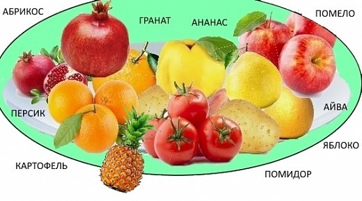 Вот так мы отметили веселый праздник - День поедания красных яблок. 
	Про чаепитие  тоже не забыли.
  А причём здесь День  яблока???

Не будем спешить.
	   Чтобы наш клубочек покатился дальше, предлагаю домашнее задание. Можно принести  какое-нибудь «яблоко», или просто рассказ о нем. Заранее поговорила с родителями (кто, что принесёт). 
  	Можно подключить родителей, или самой провести экскурс в историю.

 (фото 12)