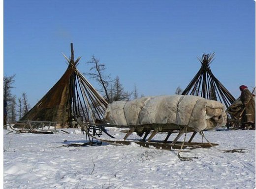 Деревянные, соломенные, травяные, из меха  оленей. Почему?
Россия богата лесами – посмотрим на географическую карту Норвегии, Украины и России.
 Норвегия – северная страна, там дуют сильные ветра, а дерн – не только хороший утеплитель, а еще    он совершенно не пропускает влагу.
 На Украине – лесов не так много, а сена и соломы в избытке.
- Догадайся, почему северные народы нашей страны, где очень холодно, покрывали жилища мехом оленей?
-Выслушаем ответ малыша, покажет северные просторы, тундру, где нет лесов, да и домики свои они возят с собой. 
 (фото 13)