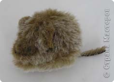 Приключения мышки (фото 1)