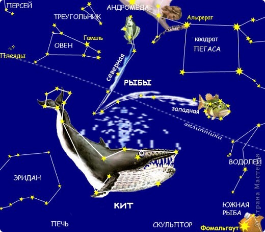 Я родилась в марте. Это мое созвездие. Зодиакальное Созвездие Рыб. Я узнала, что есть ещё созвездие "золотая рыба, созвездие "летучая рыба, созвездие "южная рыба".  (фото 7)