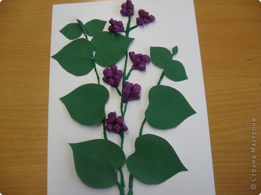 СИРЕНЬ. (фото 4)