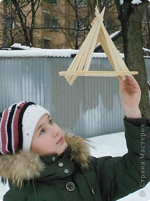 День наблюдений за живой природой (фото 6)
