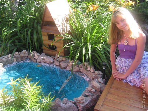 Наш солнечный прудик всегда притягивает к себе солнце. (фото 1)