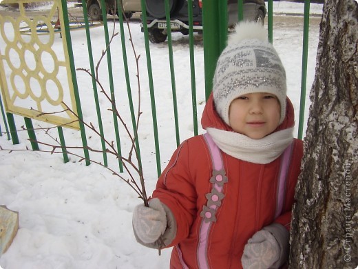 Во время прогулки на улице Элина собрала опавшие ветки березы. (фото 2)