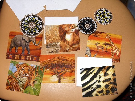 Так искала нужные салфетки. (фото 5)