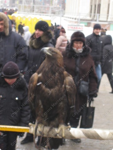 По улицам слона водили.... Опс, фотик начал замерзать. скоро придётся сменный аккумулятор ставить. А слона-то НЕТ, только ОРЁЛ! (фото 25)